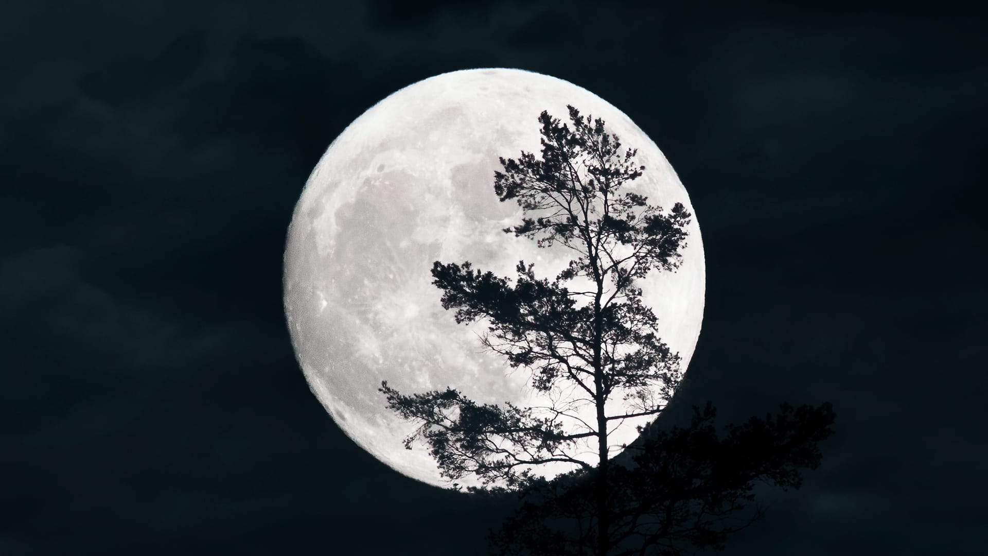 January Full Moon 2024, Full Moon Tonight, Full Wolf Moon Meaning