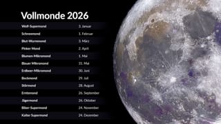 Vollmonde 2026