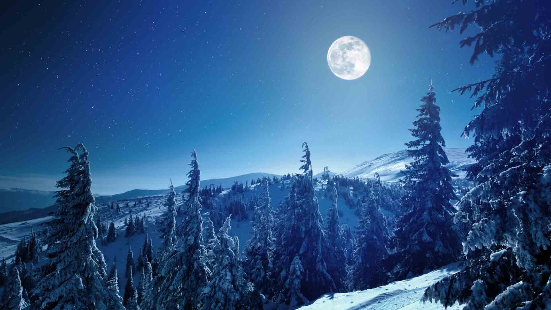 Full Moon over the winter forest