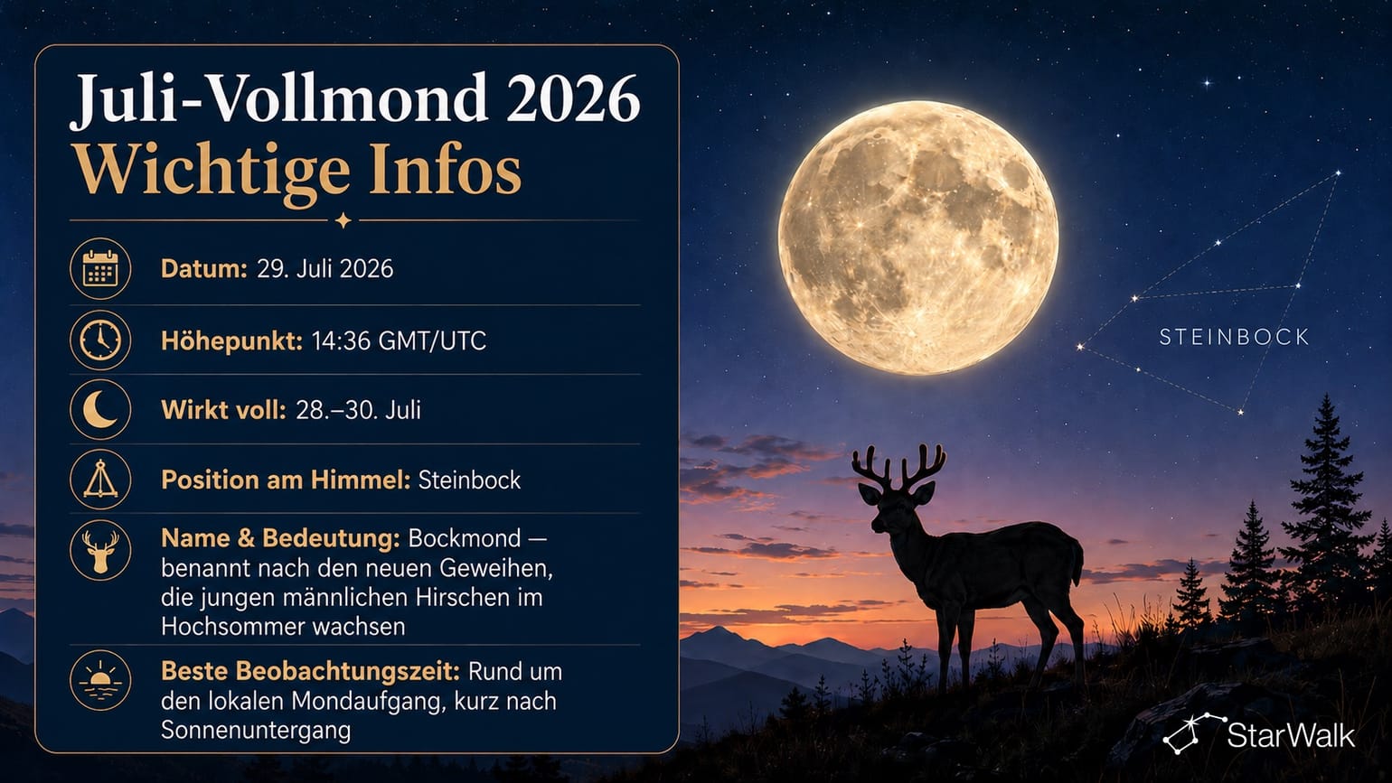 Juli-Vollmond 2026: Das Wichtigste in Kürze
