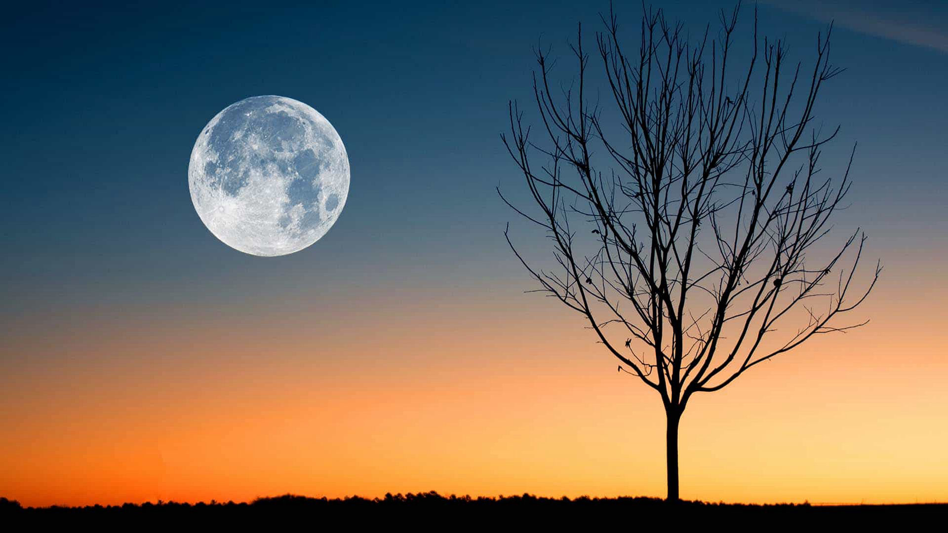 The March Worm Moon — The First Supermoon of 2021?