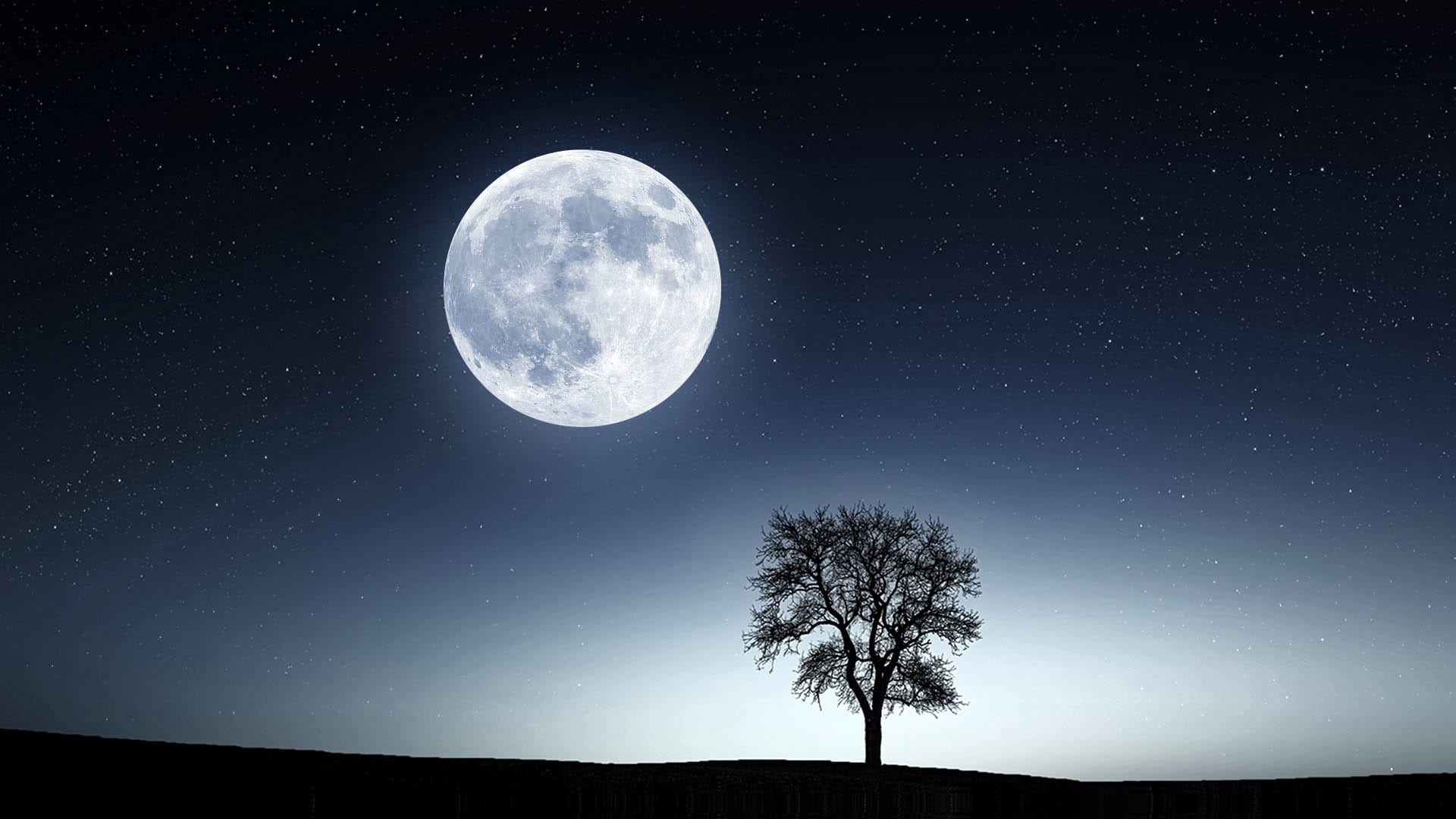 2022년 3월 18일 보름달: 벌레의 달
