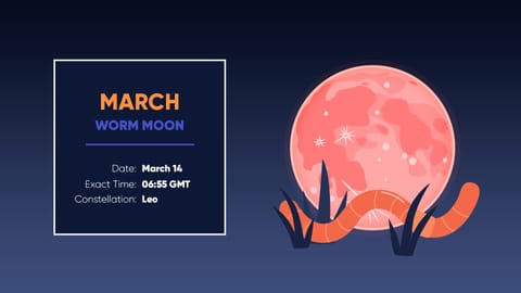Full Moons 2025 | Full Moon Calendar 2025 | Next Full Moon Schedule