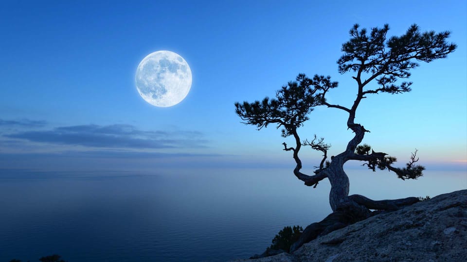 Flower Moon Meaning Flower Moon 2024 Full Moon May 23, 2024 Star Walk