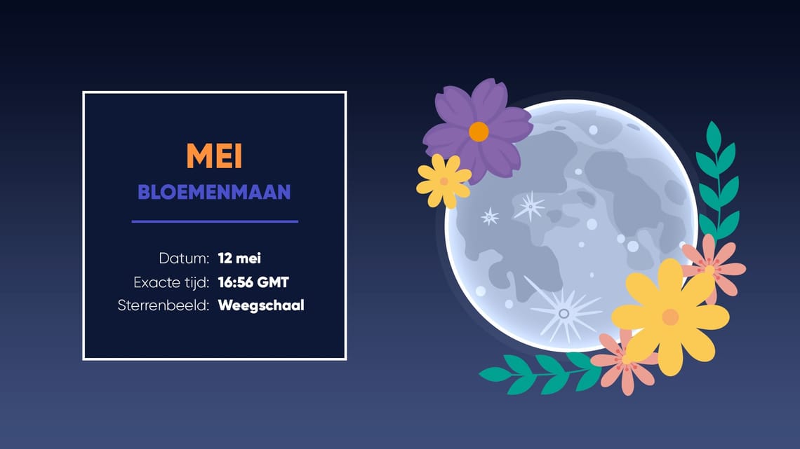 Volle Maan Kalender 2025 | Schema Volle Maan 2025 | Volle Manen 2025
