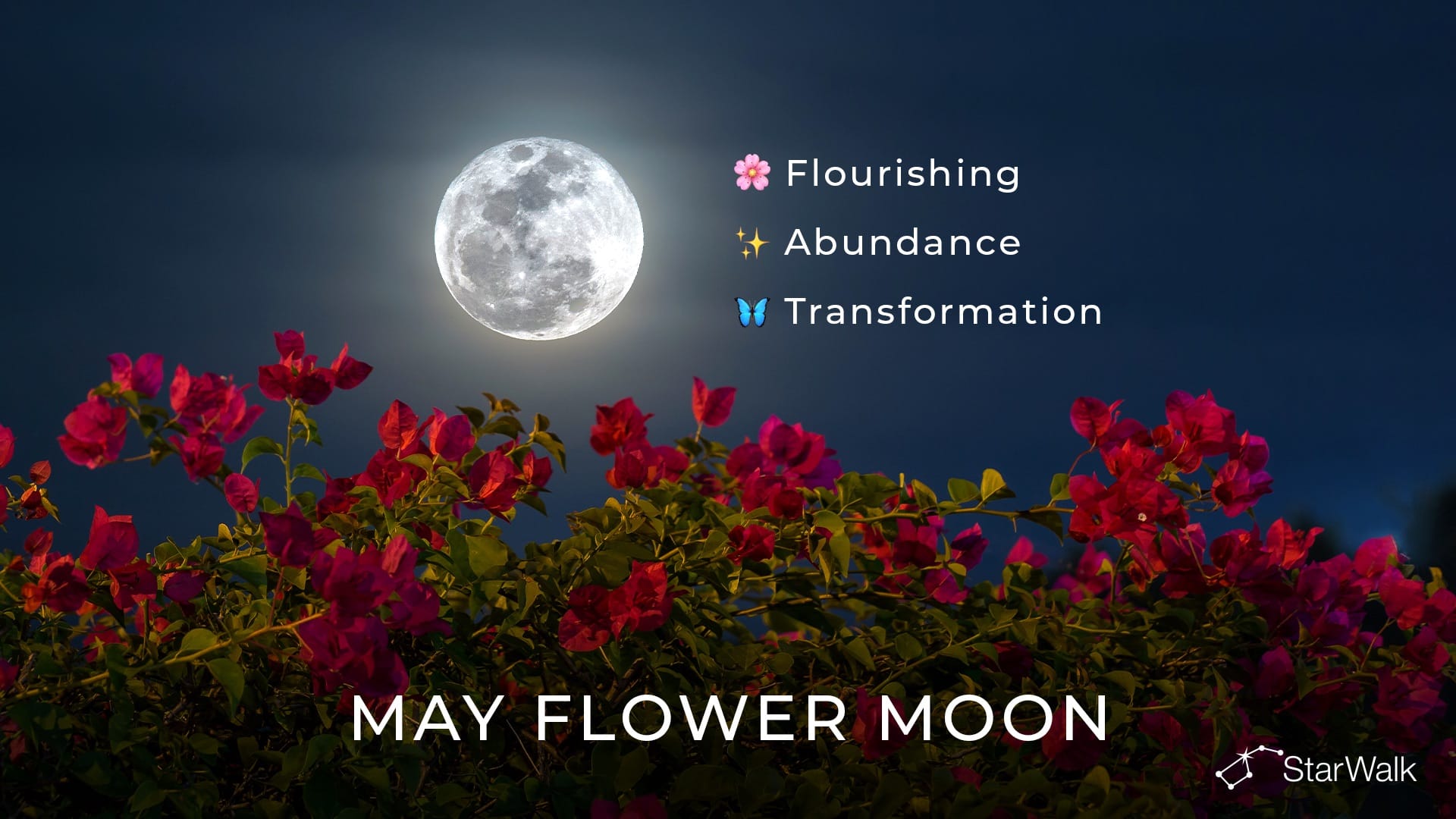 May Full Moon 2027: Spiritual Meaning