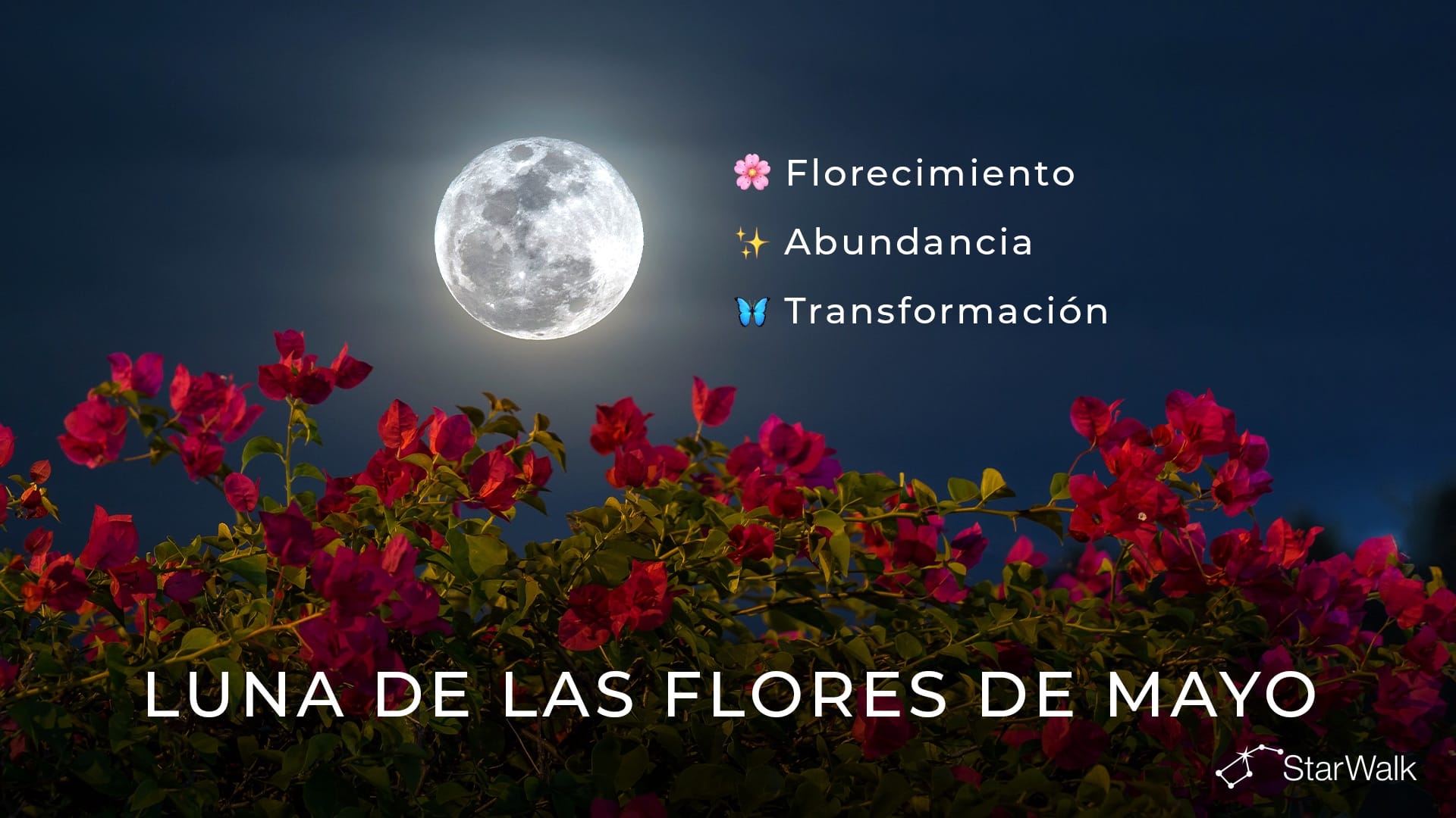 Luna llena de mayo de 2027: significado espiritual