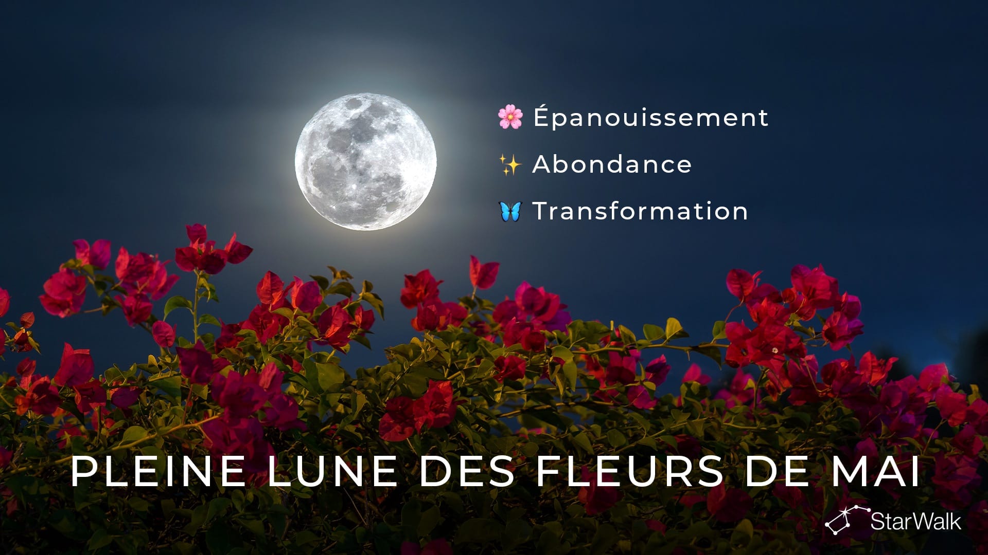 Pleine Lune de mai 2027 : signification spirituelle