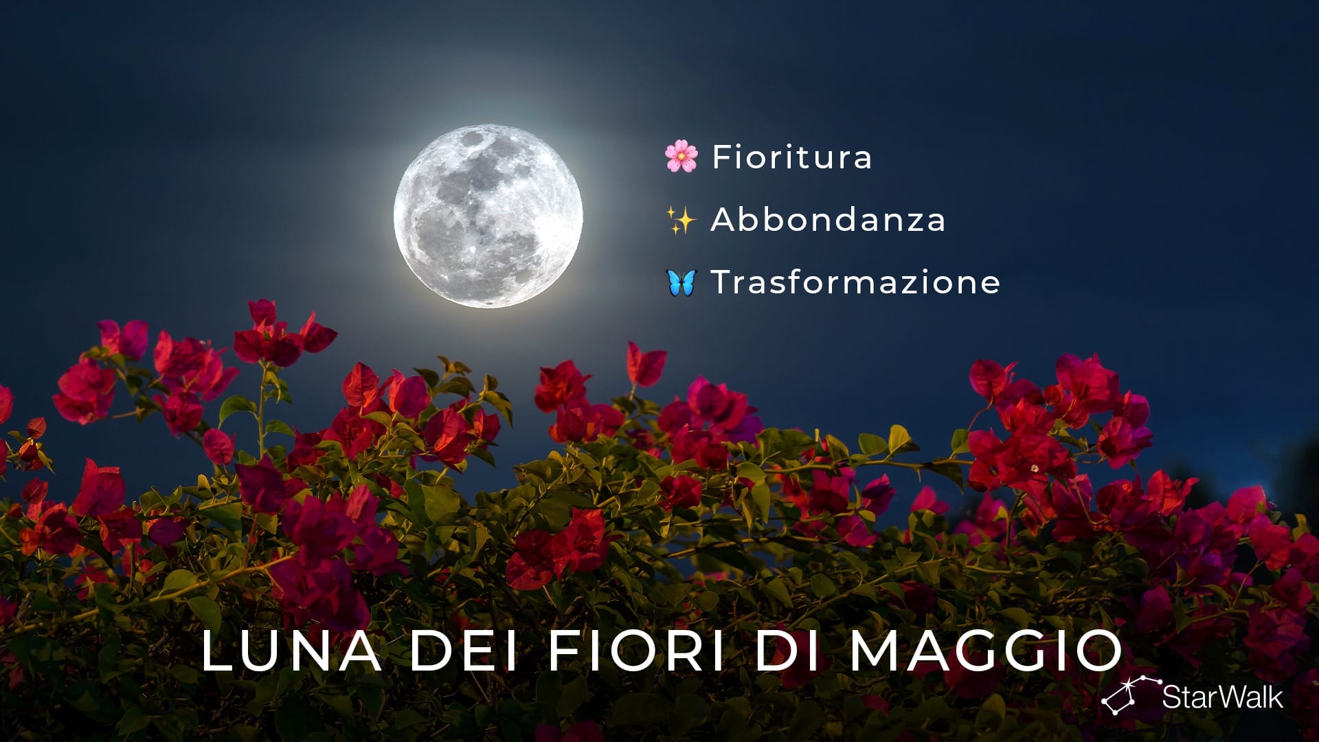 Luna Piena di maggio 2027: significato spirituale