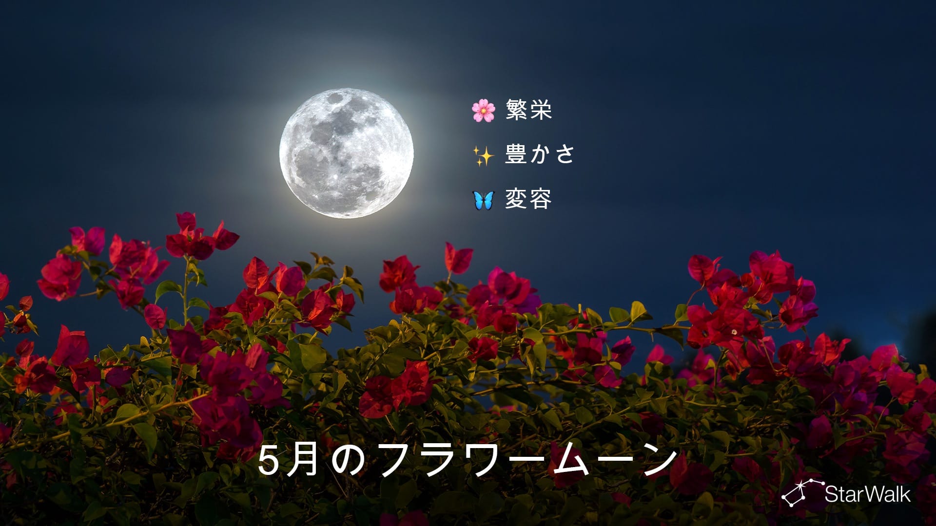 2027年5月の満月：スピリチュアルな意味
