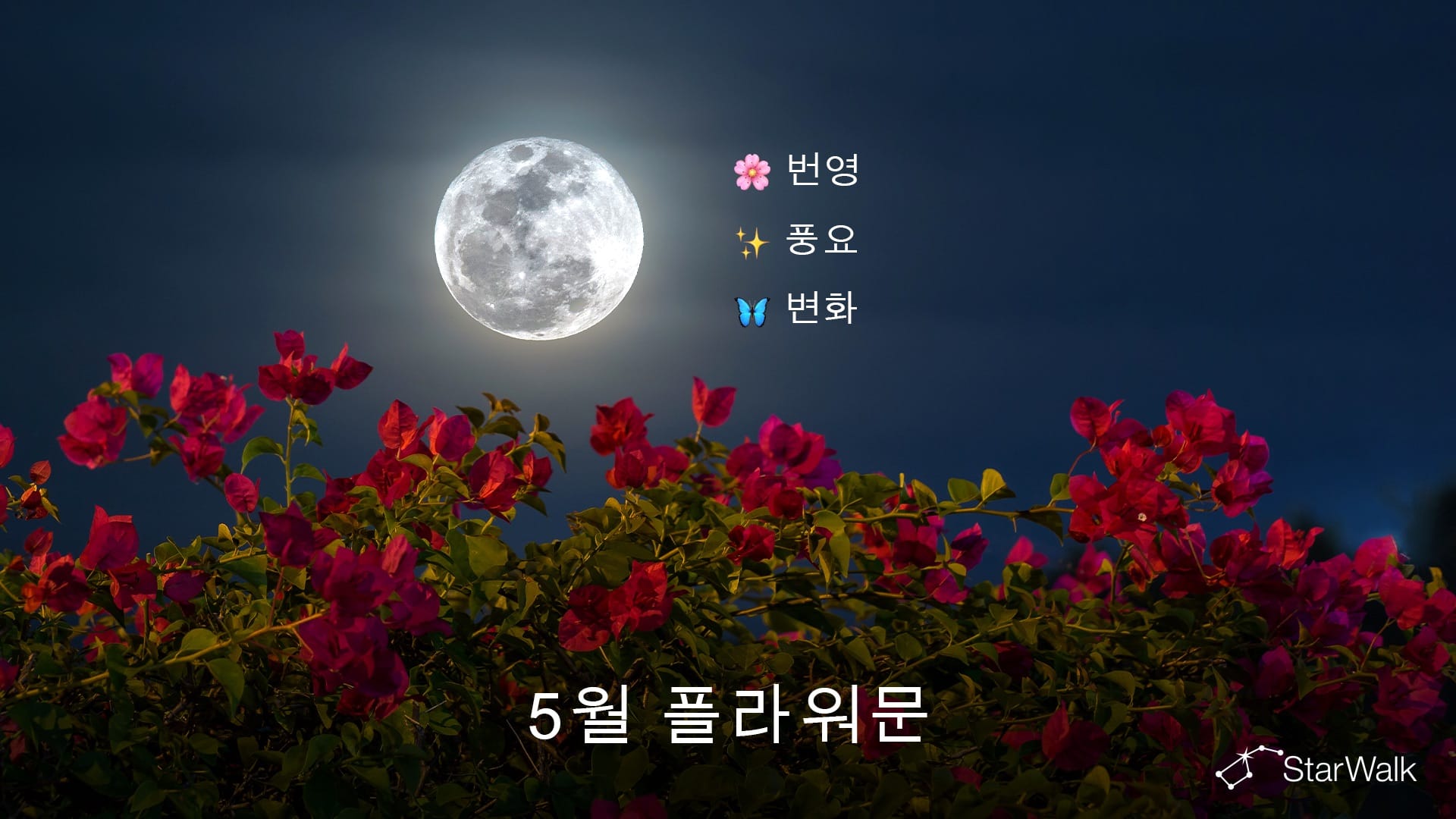 2027년 5월 보름달: 영적 의미