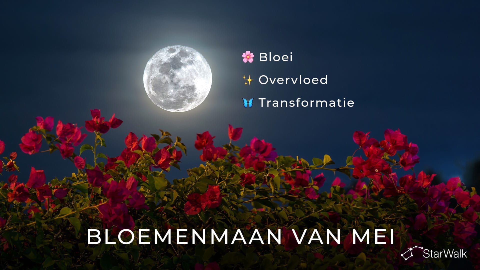 Volle maan mei 2027: spirituele betekenis