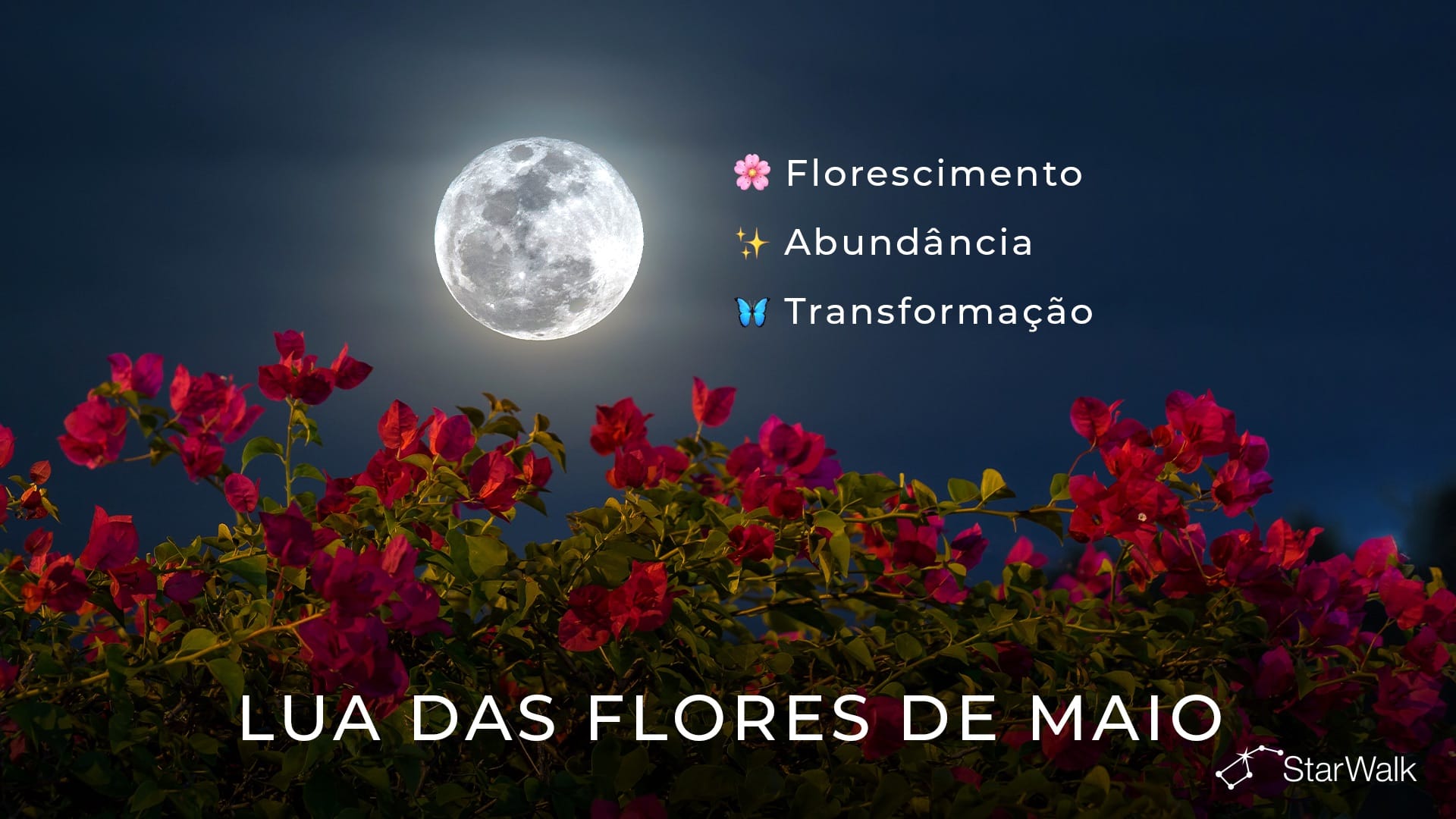 Lua Cheia de maio de 2027: significado espiritual