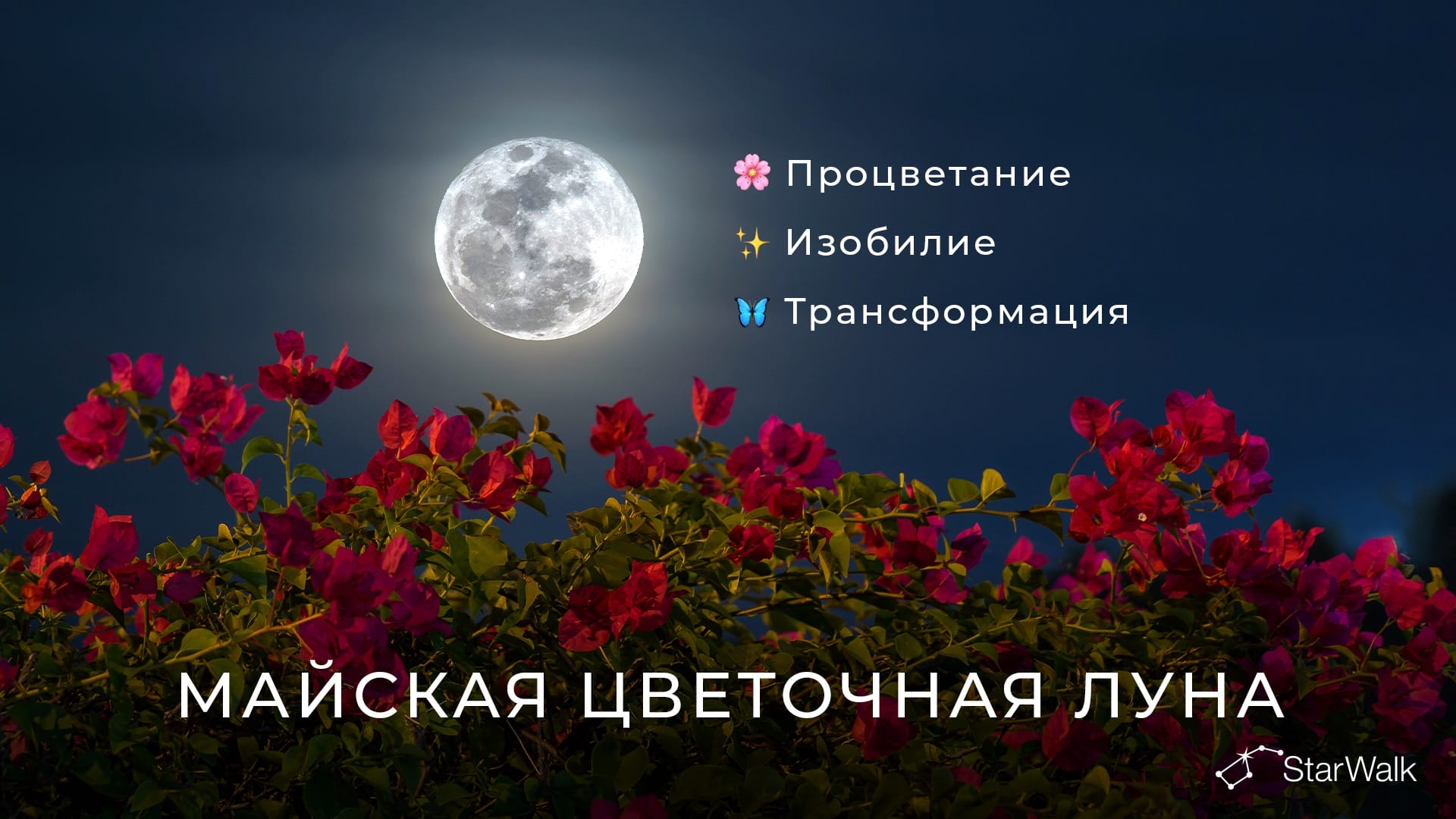 Полнолуние в мае 2027 года: духовное значение