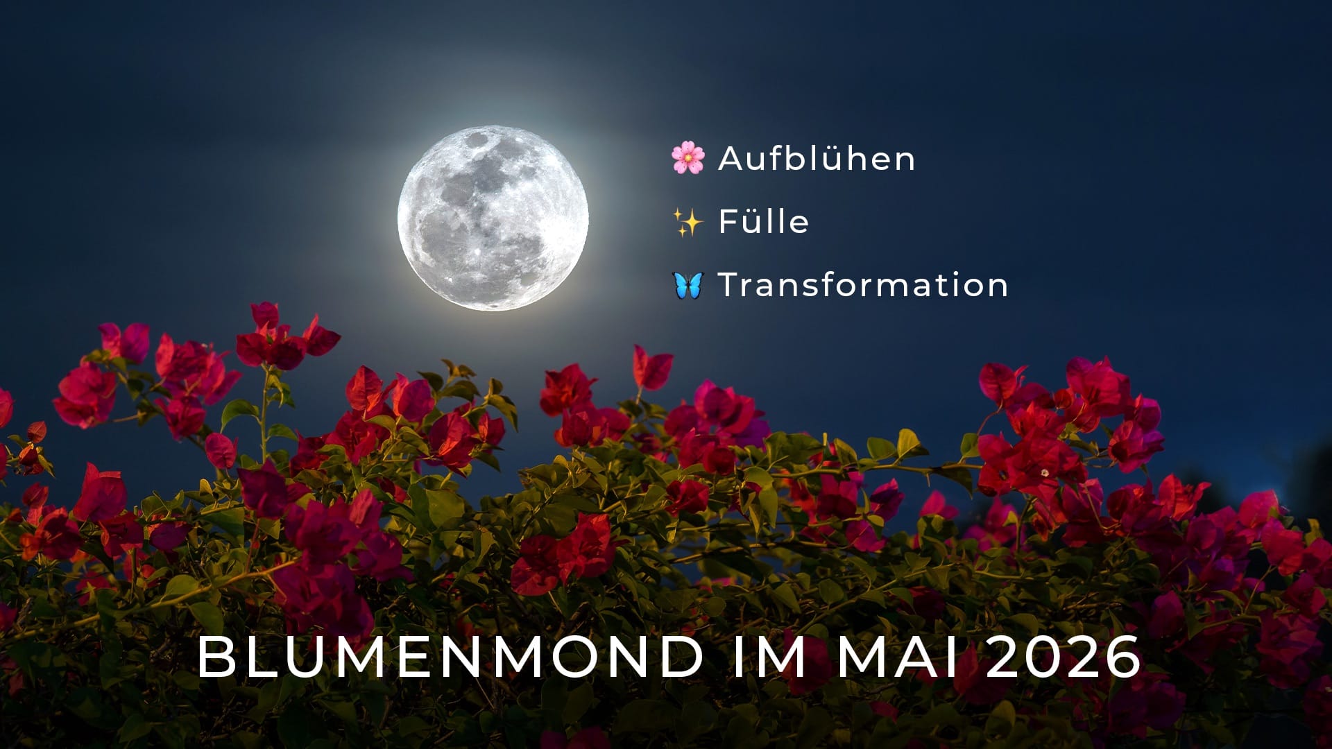 Vollmond im Mai 2026: Spirituelle Bedeutung