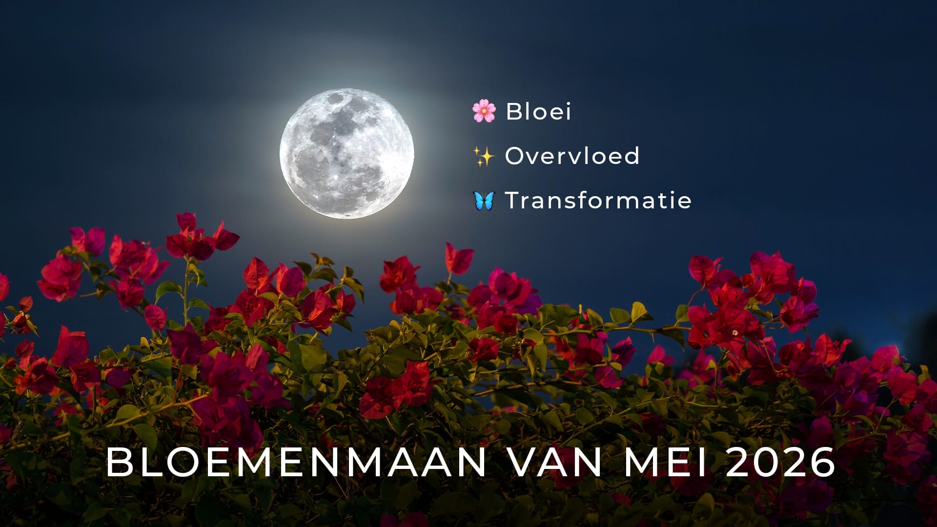Volle maan van mei 2026: spirituele betekenis