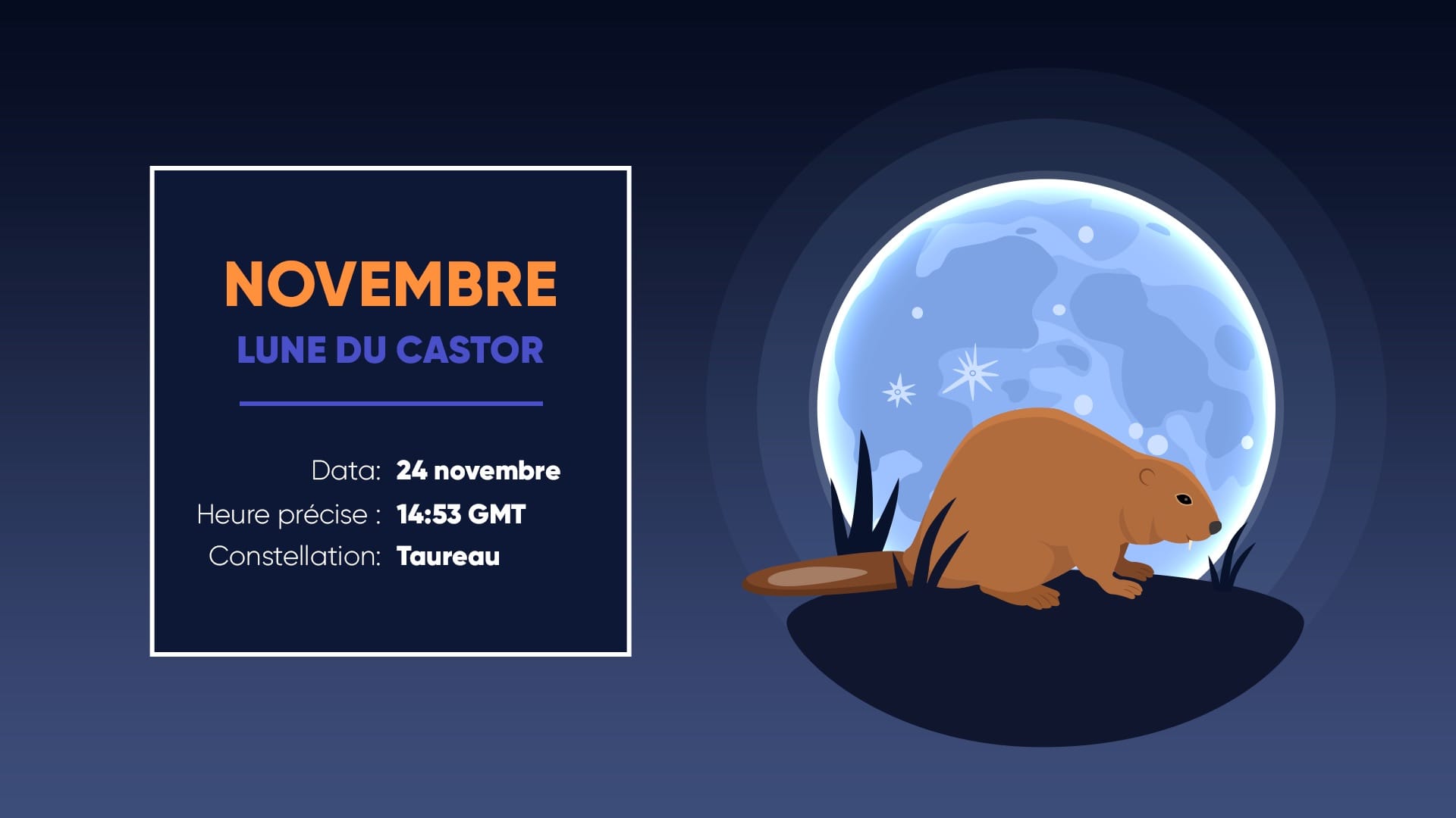 Pleine lune de novembre 2026