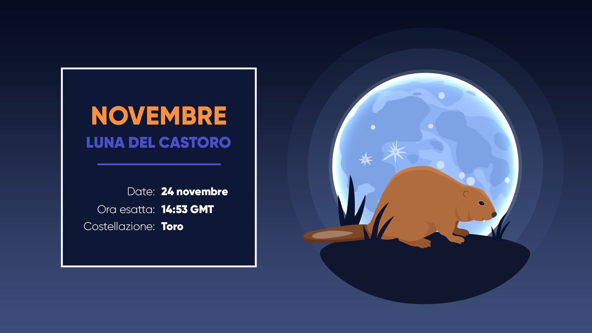 Luna Piena di novembre 2026