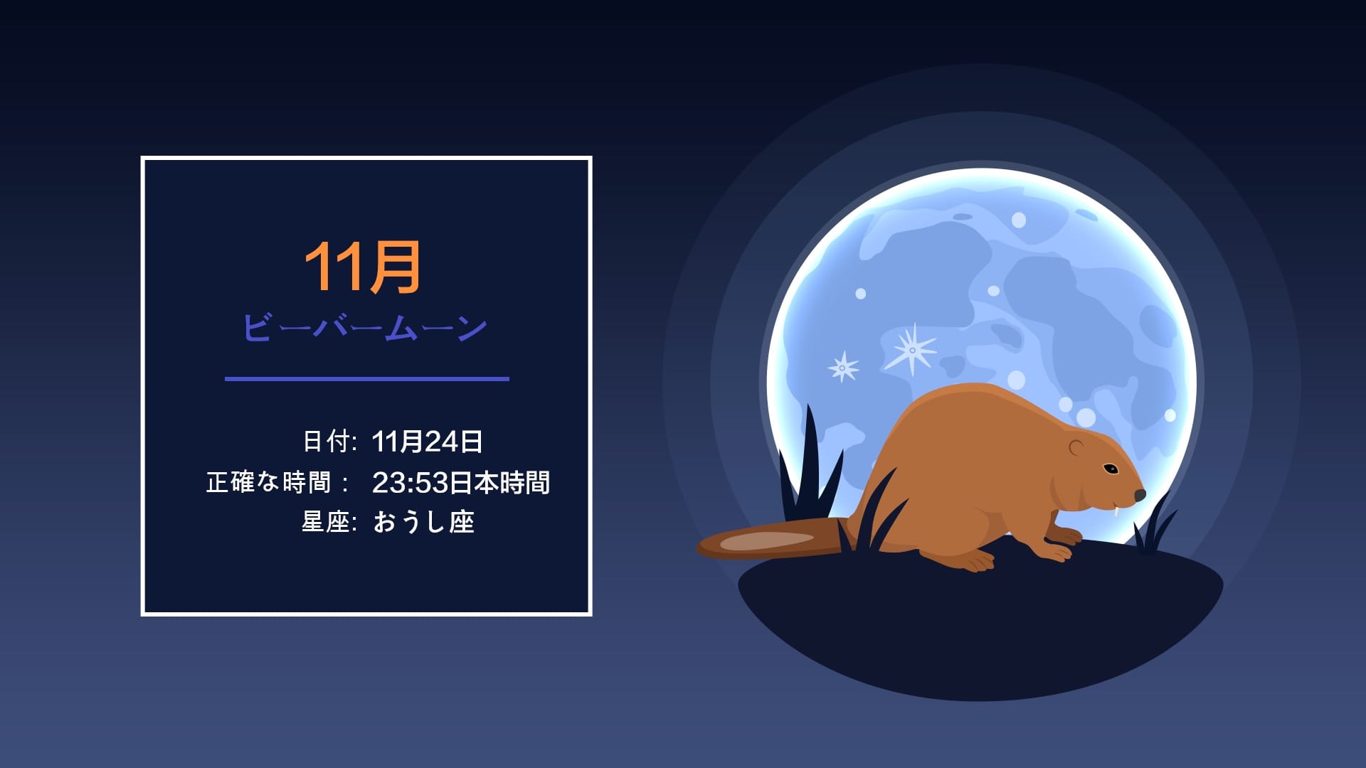 2026年11月の満月