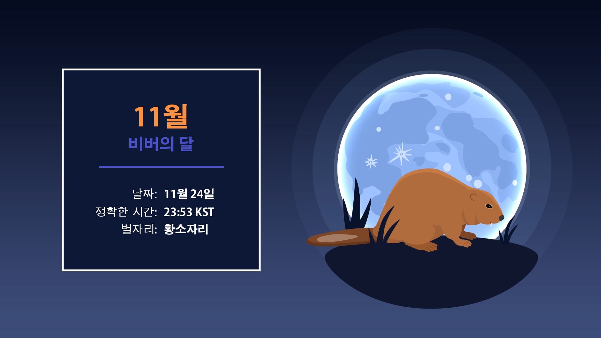 2026년 11월 보름달