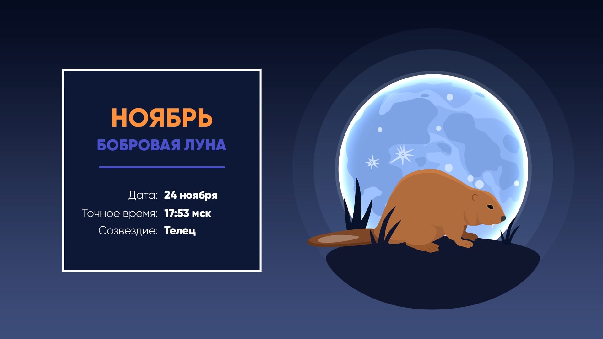 Полнолуние в ноябре 2026