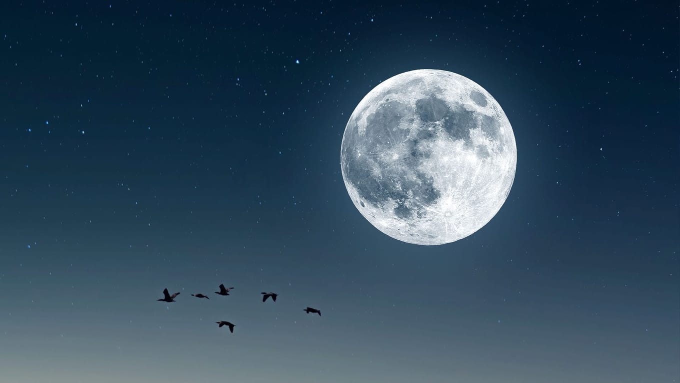 When Is The Full Moon In October | Full Hunter’s Moon | Star Walk