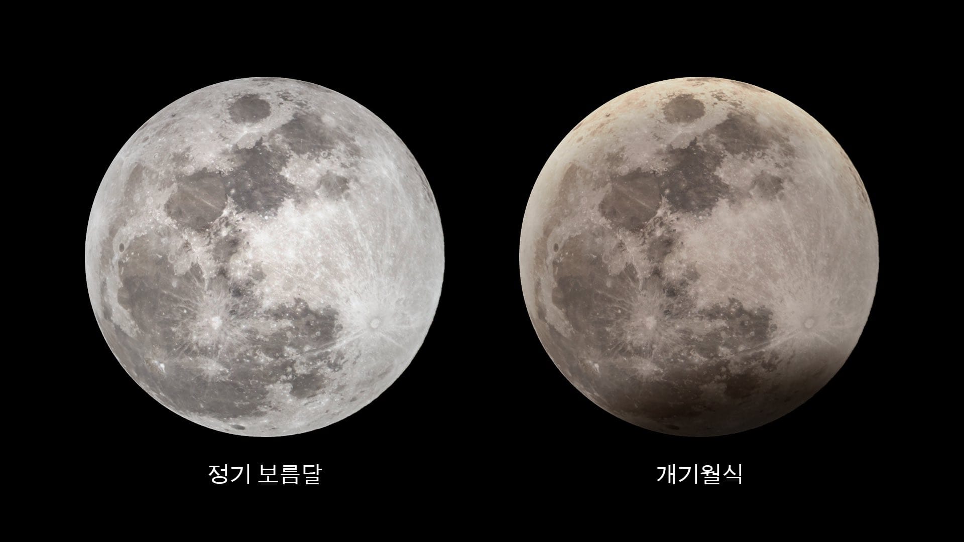 Full Moon vs Partial Lunar Eclipse