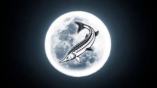 Full Sturgeon Moon 2025