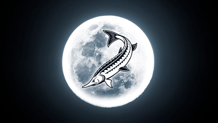 July Full Moon 2026: Buck Moon Date, Time & Meaning