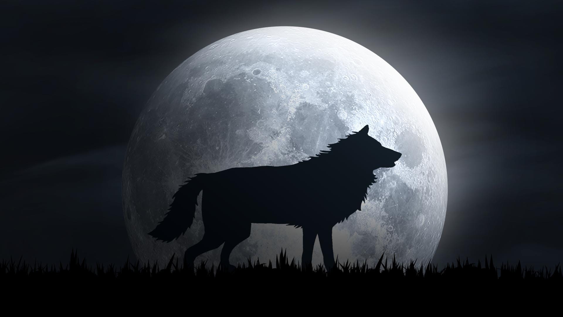 2022年1月的满月：狼月