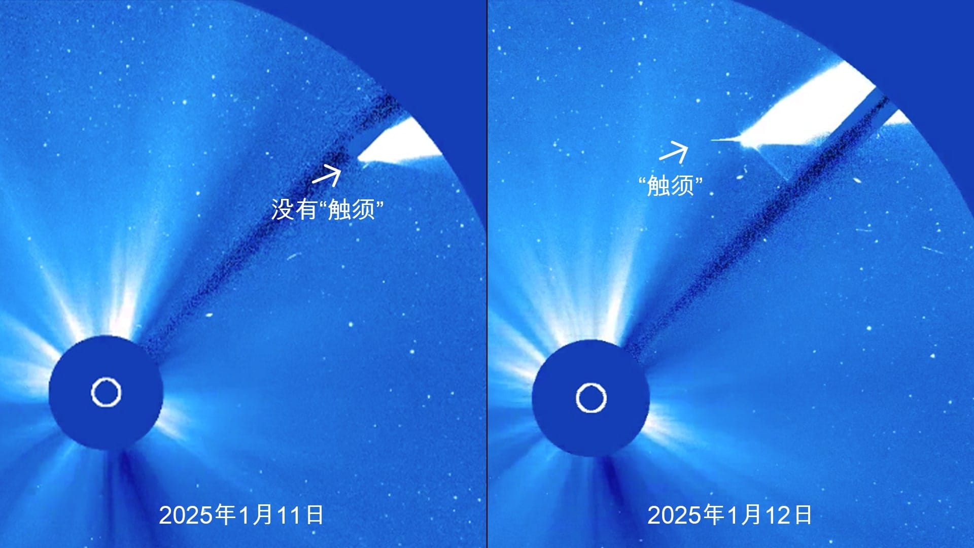 Comet G3 (ATLAS) by SOHO