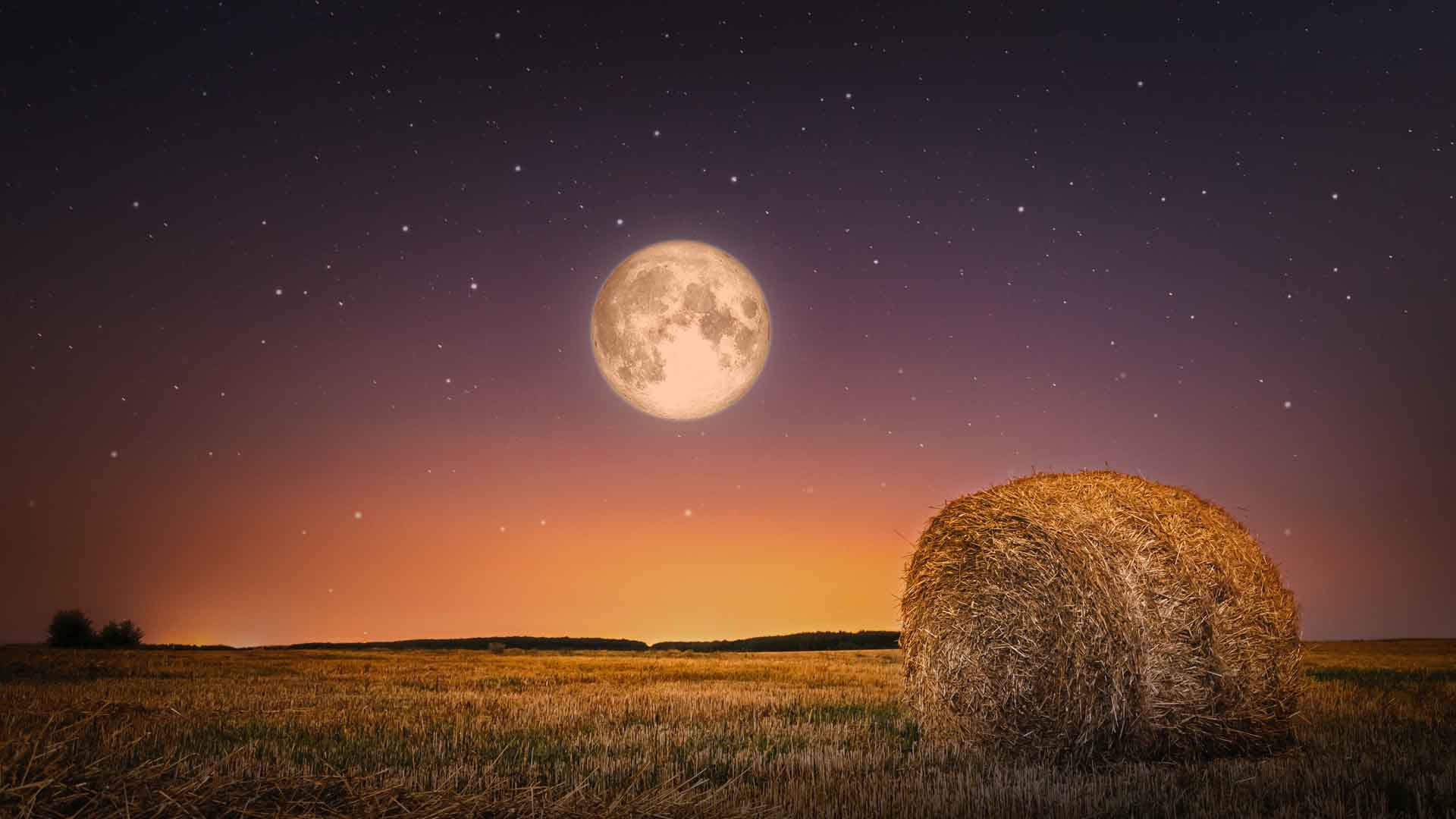 Volle oogstmaan | Wat is oogstmaan Waar is de maan Star
