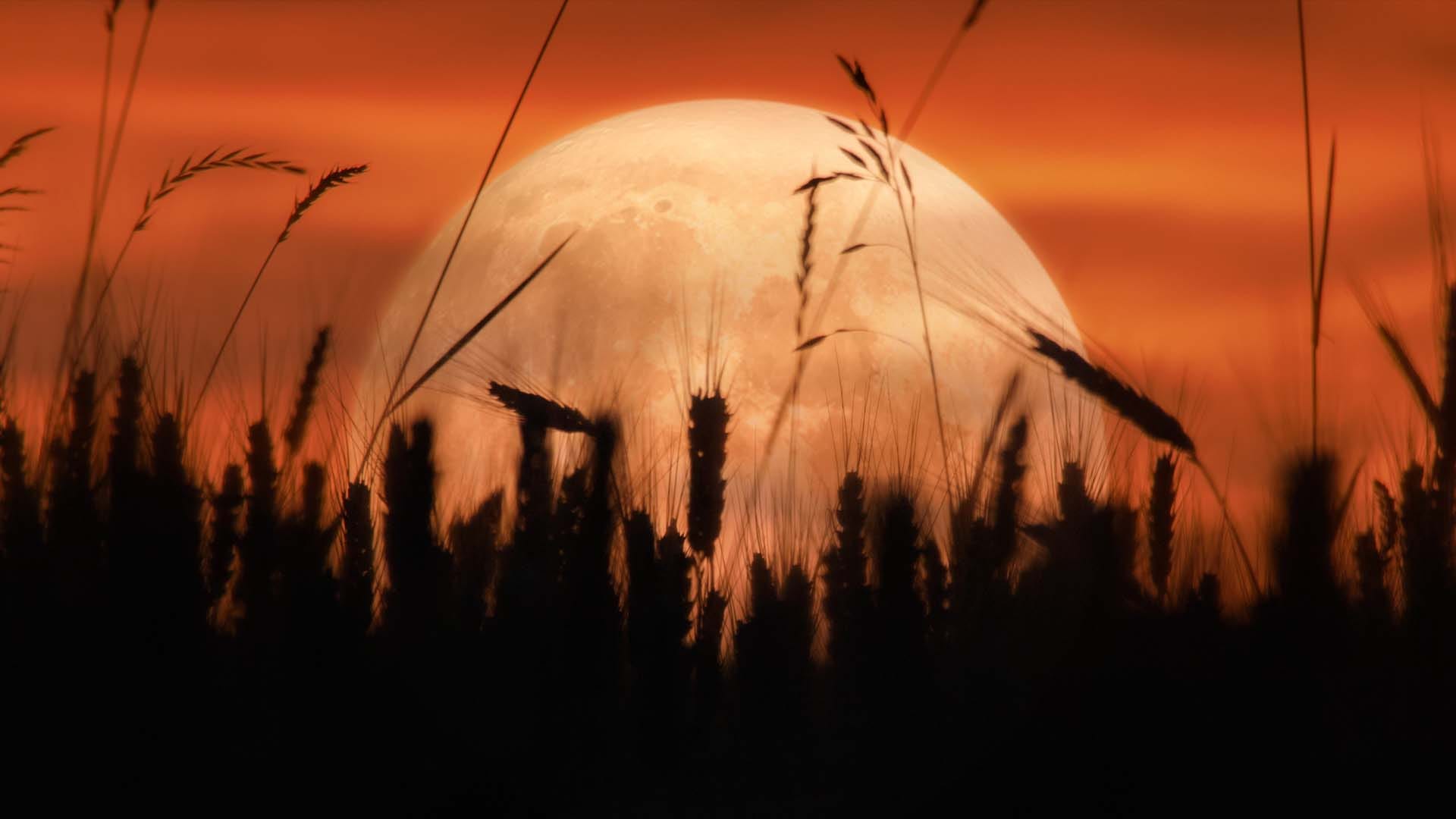 Pagan Harvest Moon