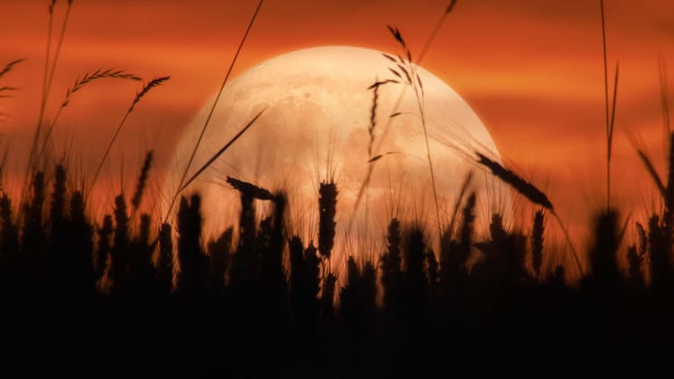 Full Moon September 18 Harvest Moon 2024 Date Next Full Moon 