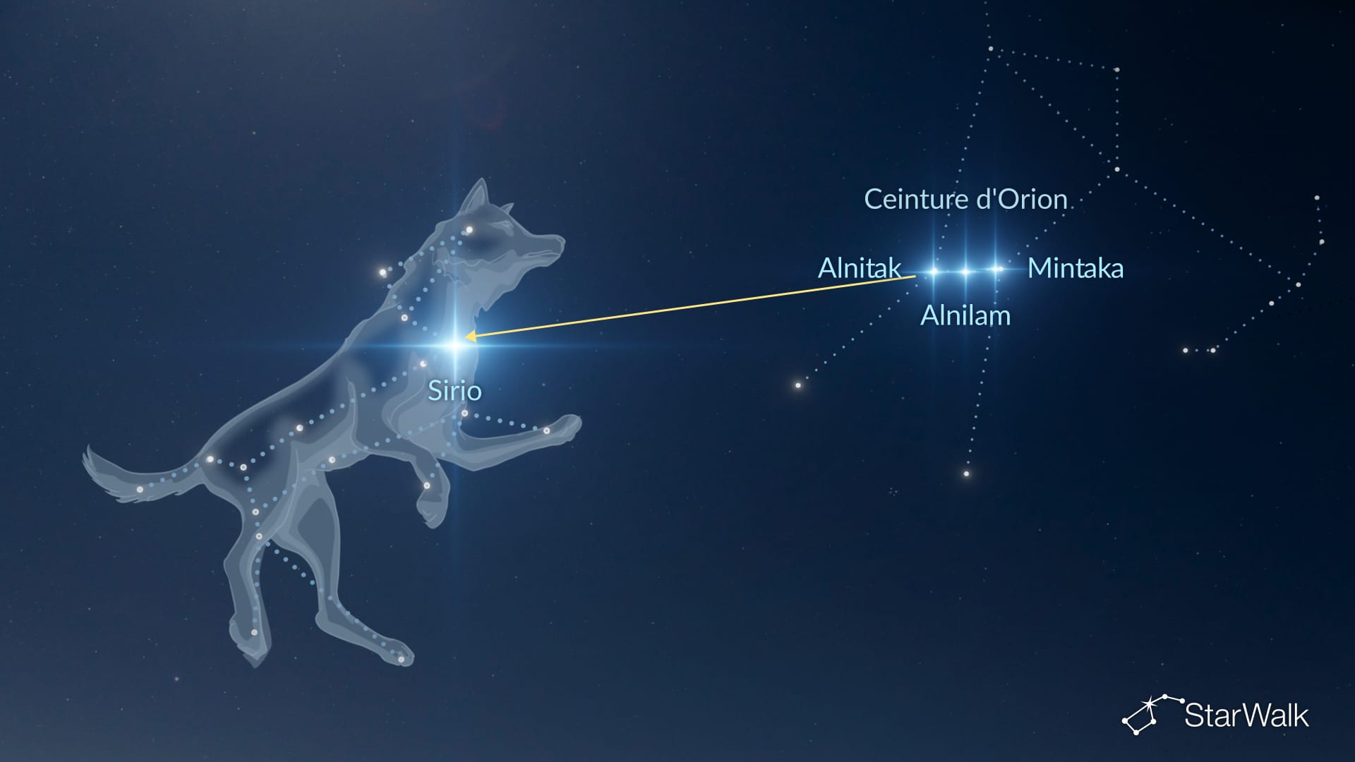 Come trovare il Cane Maggiore usando la Cintura di Orione