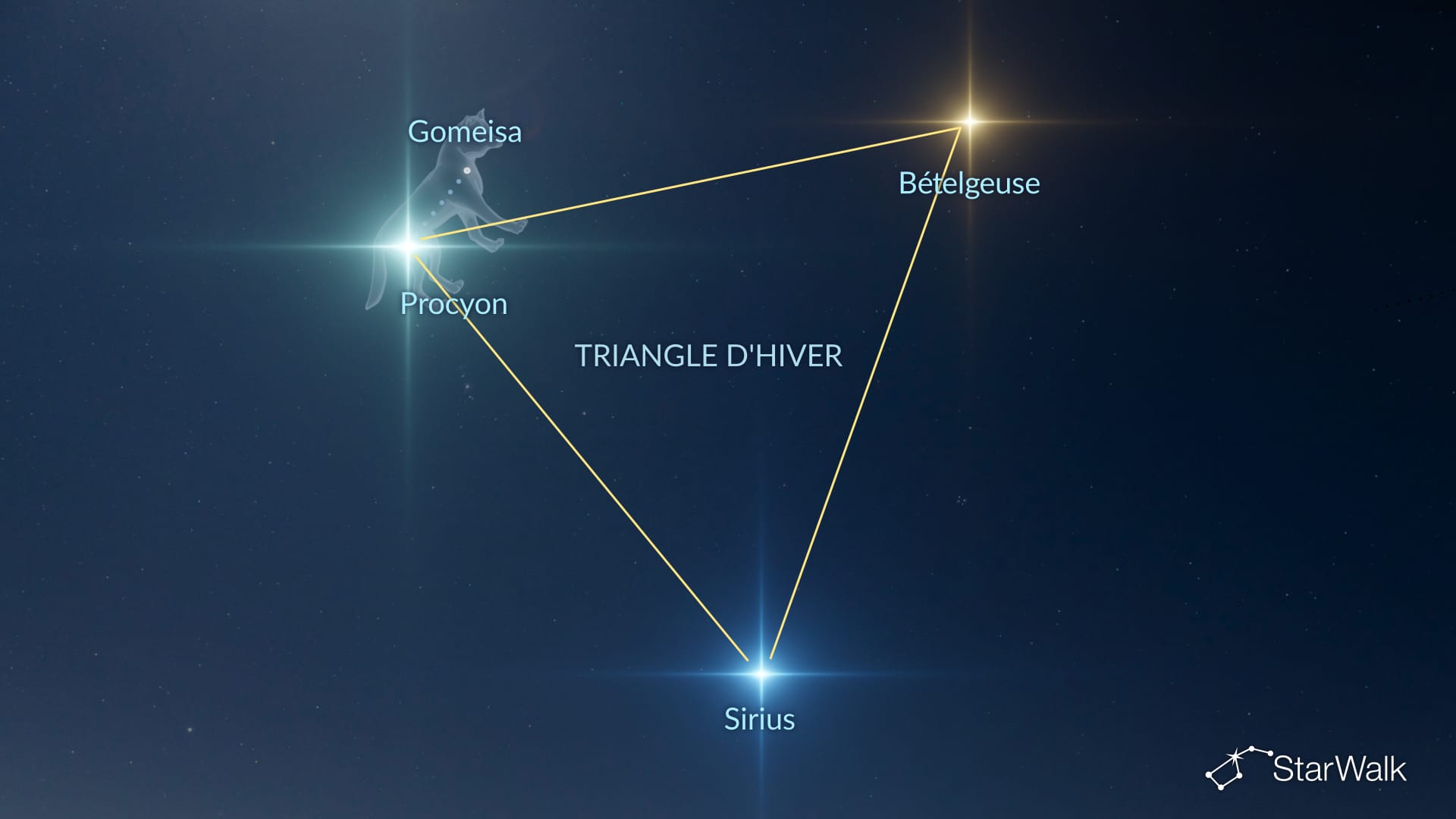 Comment trouver Canis Minor grâce au Triangle d’hiver