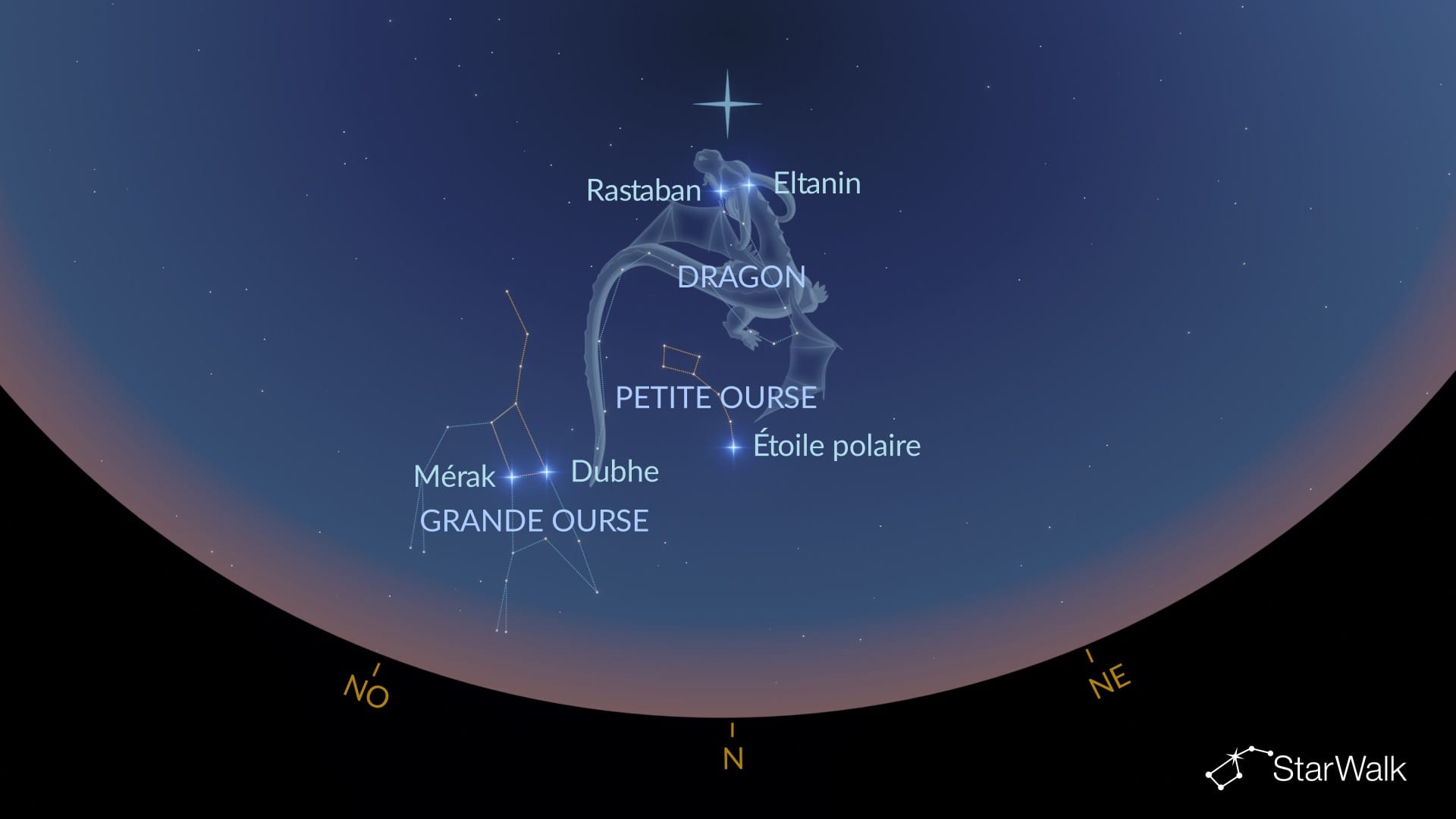 Comment trouver le Dragon dans l’hémisphère Nord