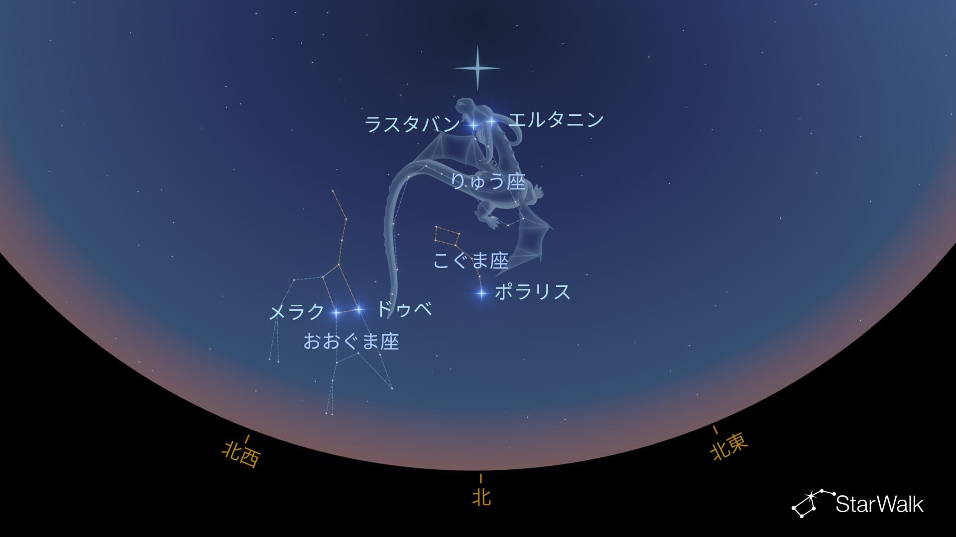 北半球でのりゅう座の見つけ方