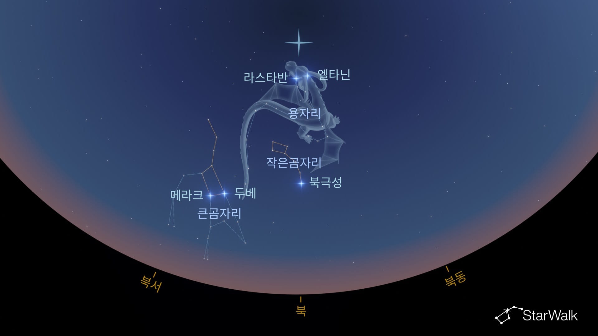 북반구에서 용자리를 찾는 방법