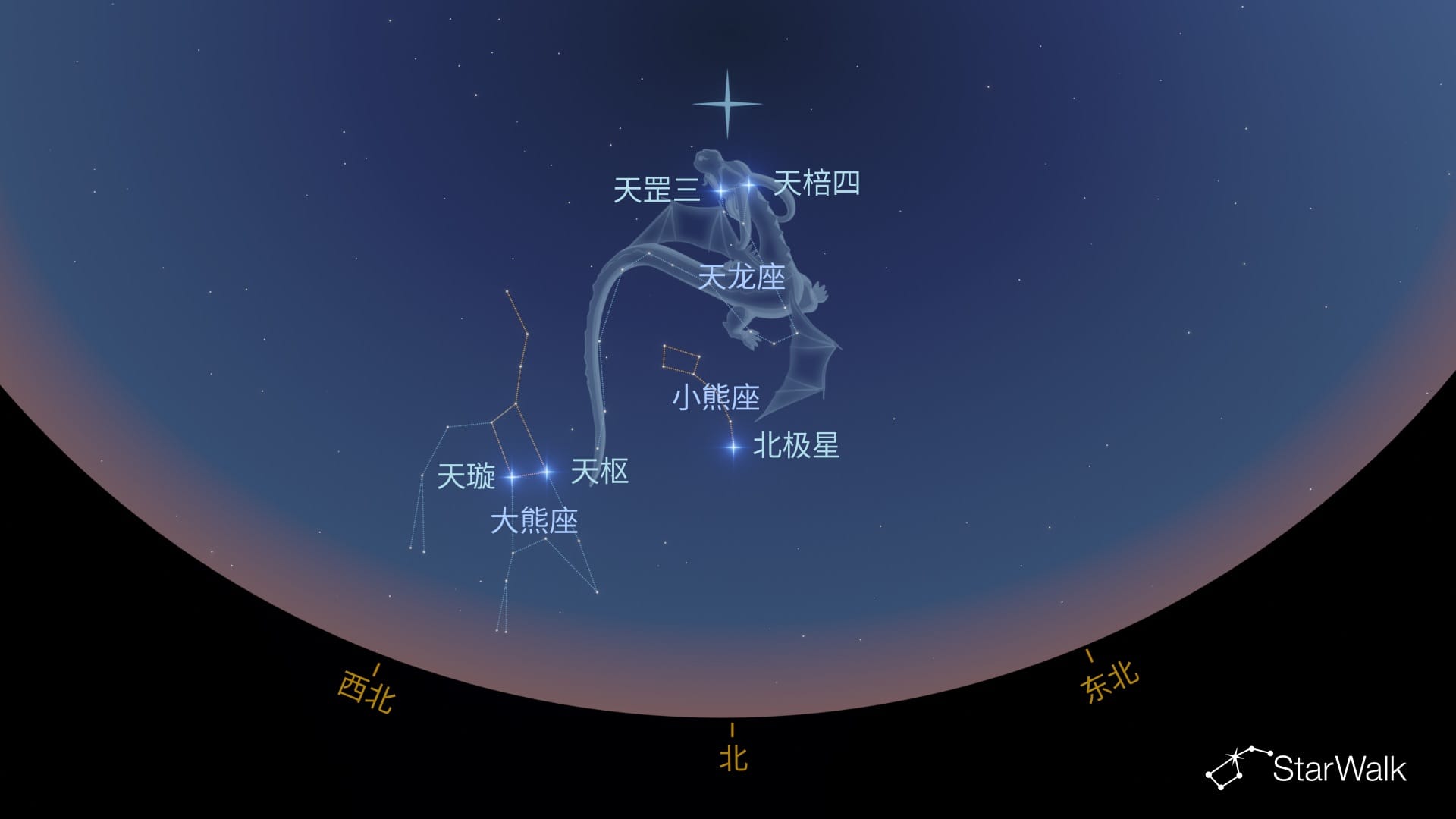 如何在北半球寻找天龙座