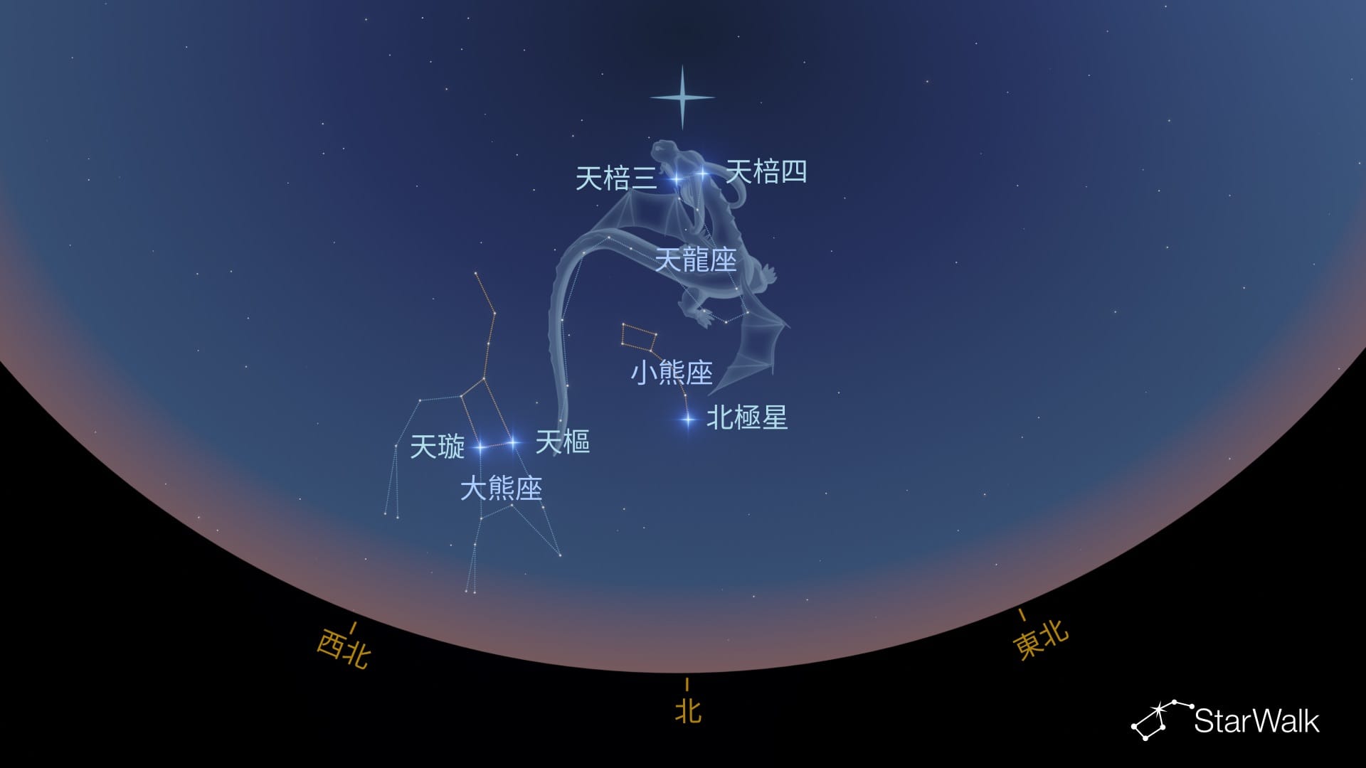 如何在北半球尋找天龍座