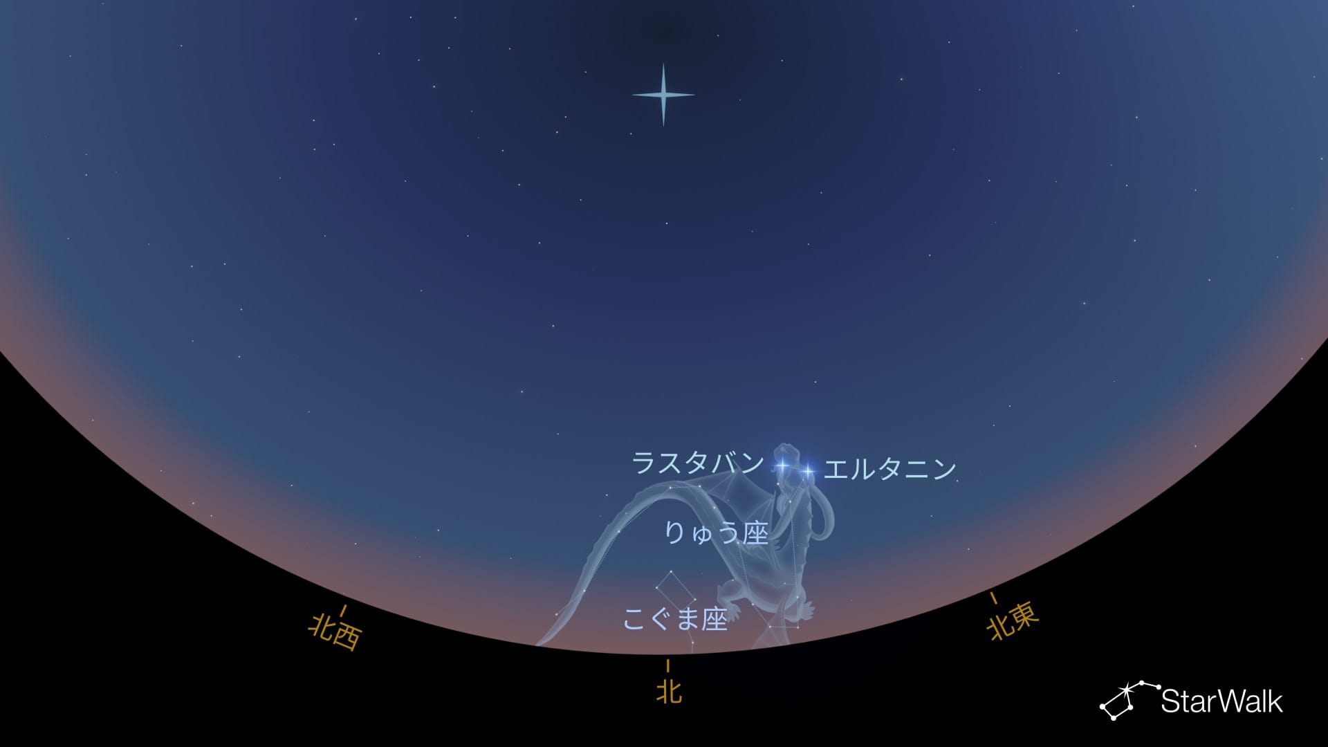 南半球でのりゅう座の見つけ方