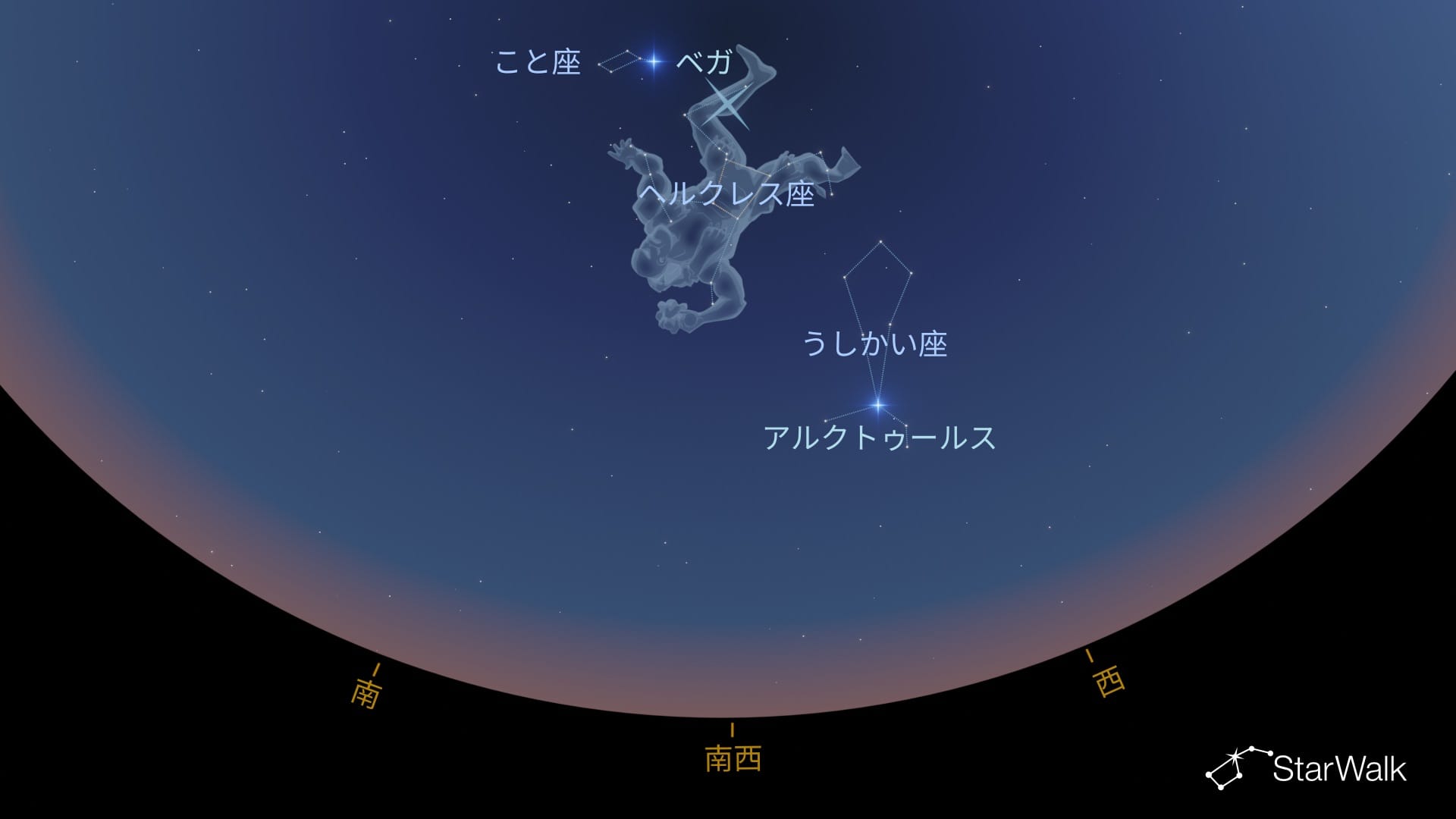 北半球でのヘルクレス座の見つけ方