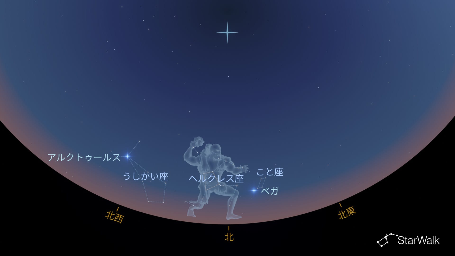 南半球でのヘルクレス座の見つけ方