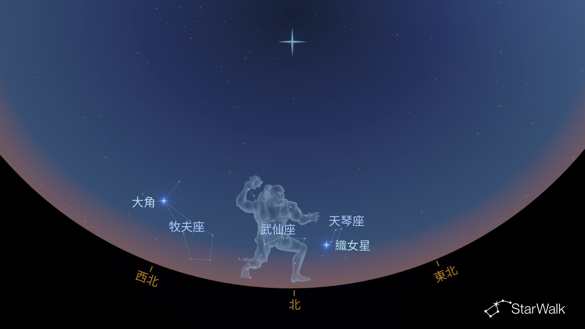 如何在南半球尋找武仙座