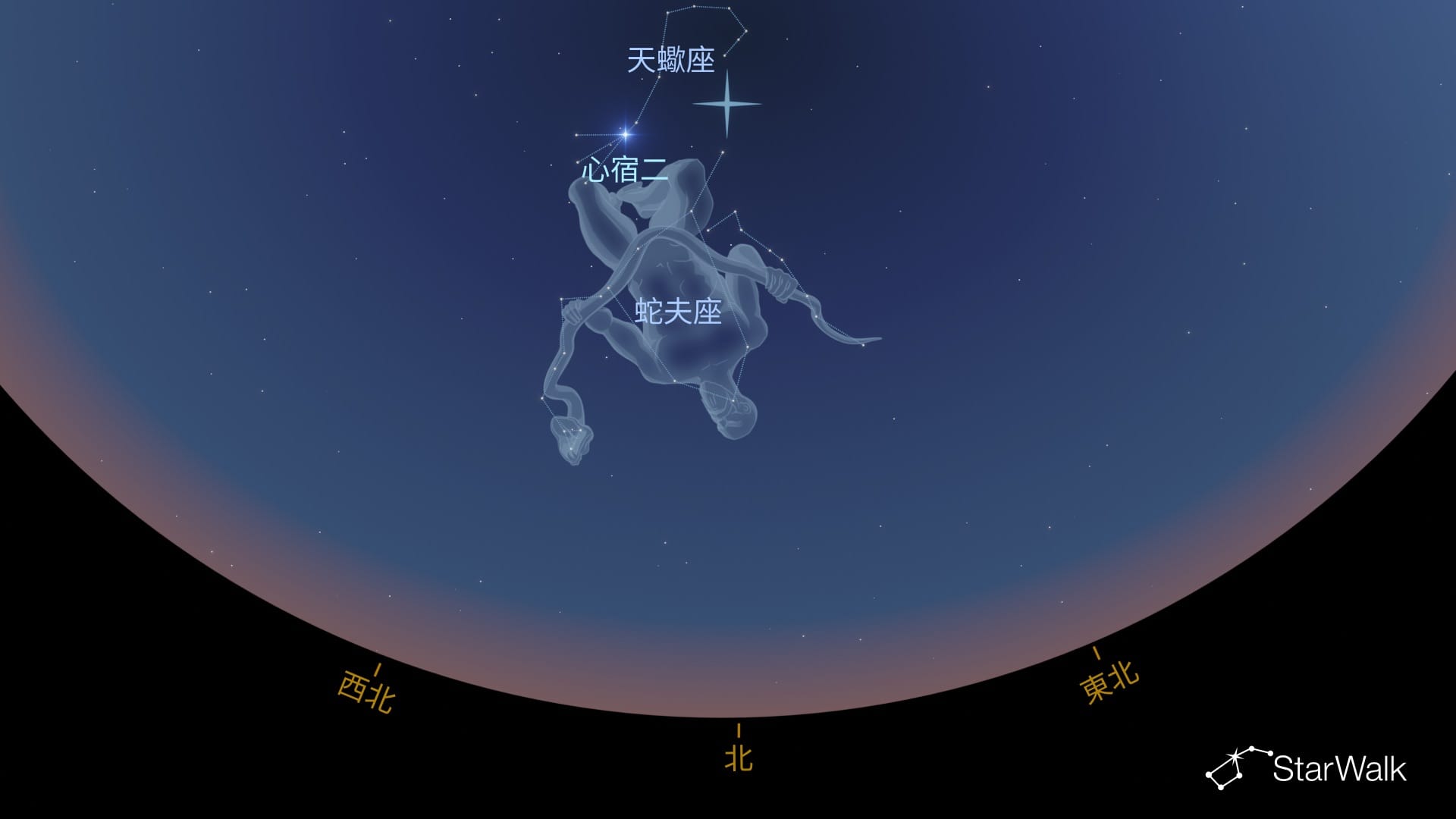 如何在南半球尋找蛇夫座