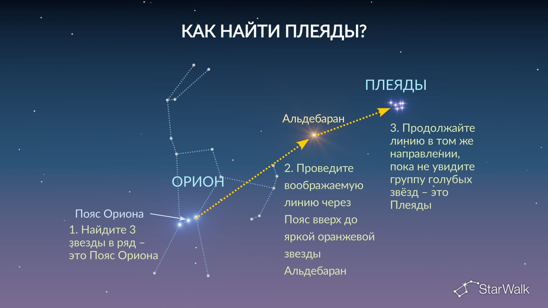 Как найти Плеяды на небе?
