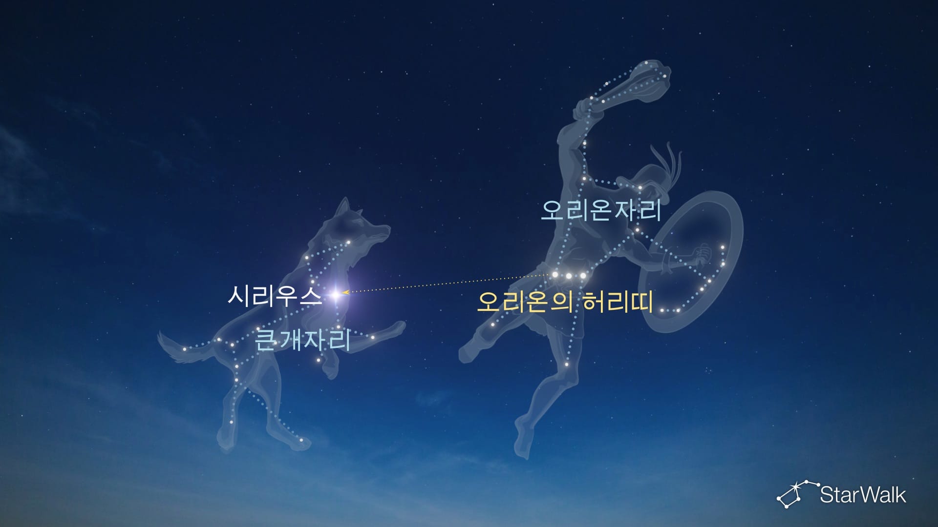 시리우스 찾는 방법