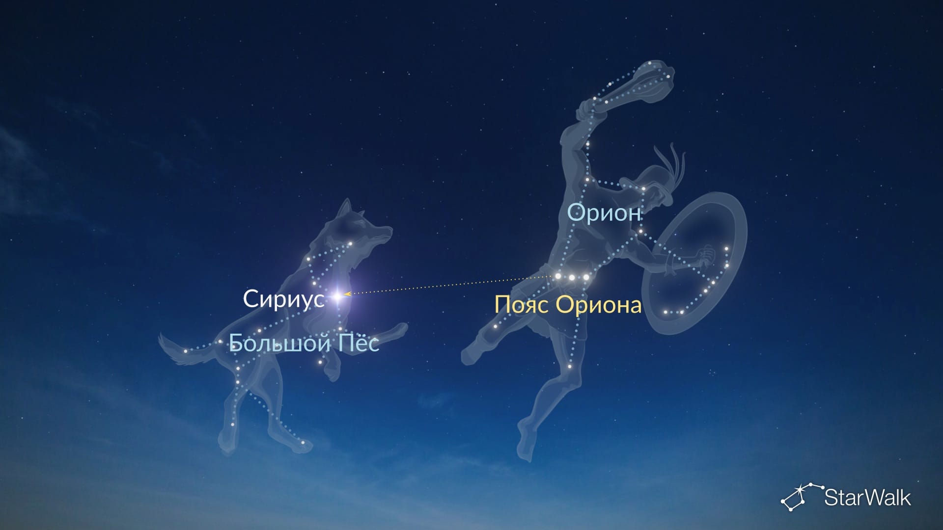 Как найти Сириус