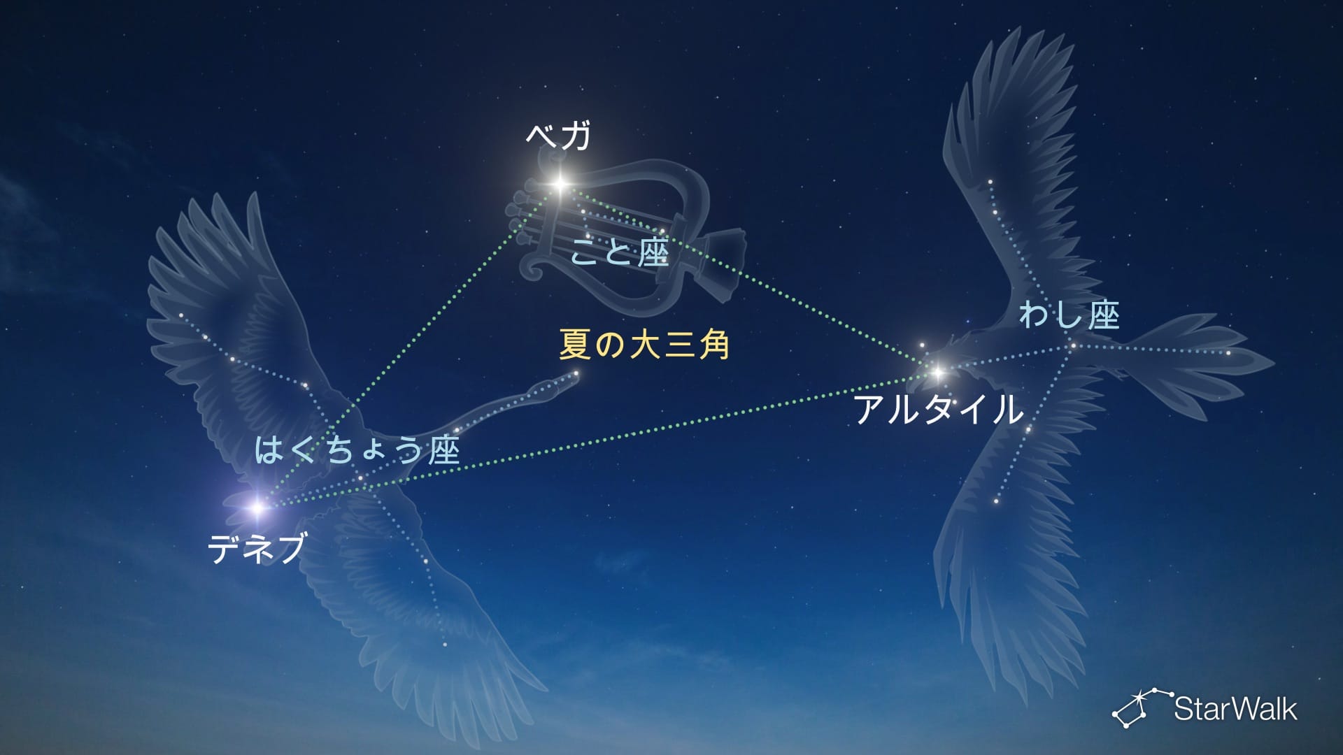 ベガの見つけ方